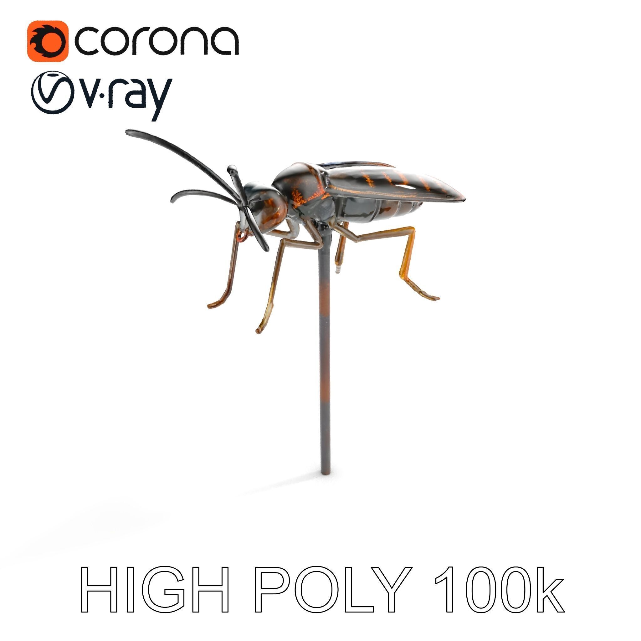 Realistic Insect Model Pack for Game and Film Production Low-poly 3D model_12