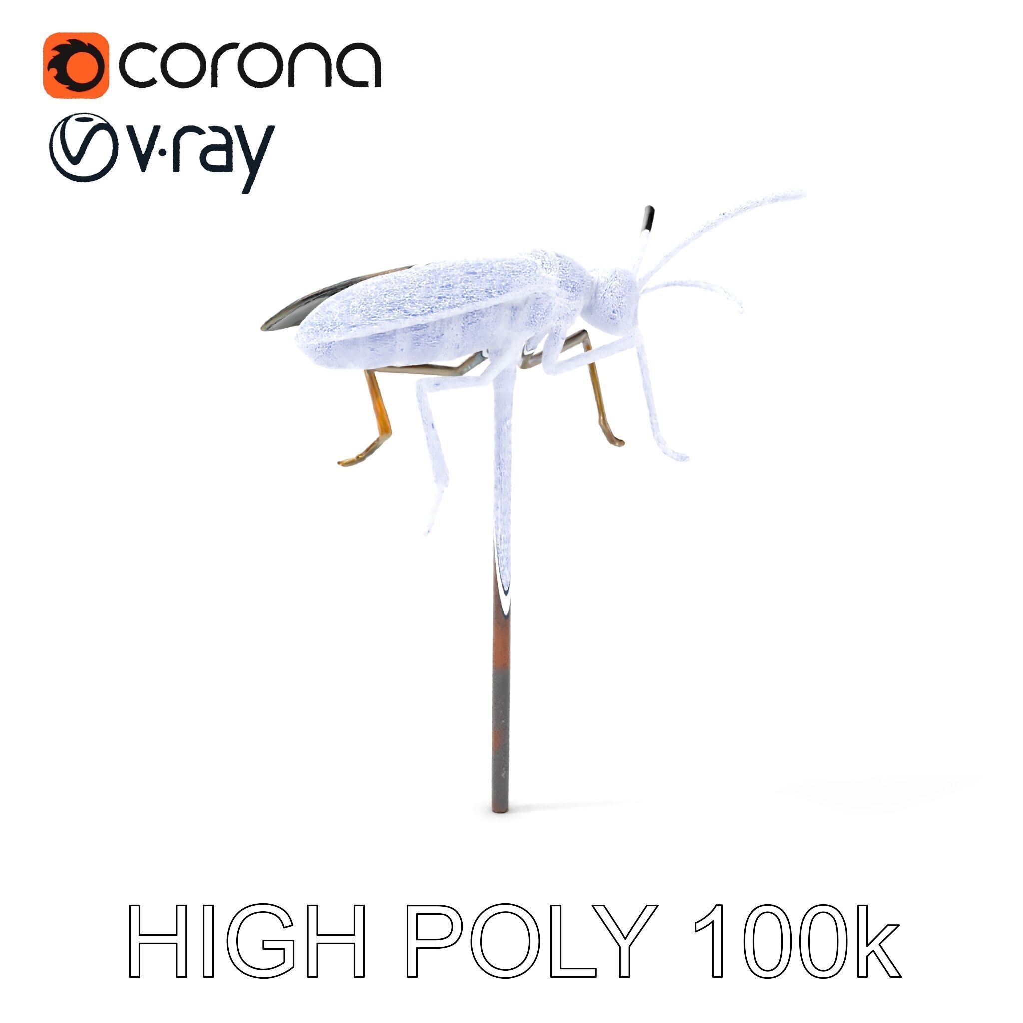 Realistic Insect Model Pack for Game and Film Production Low-poly 3D model_4