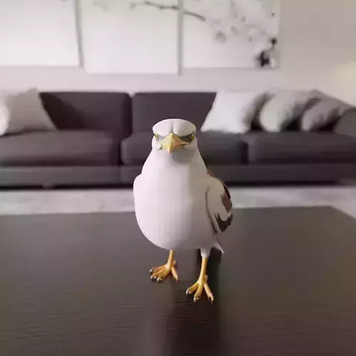 seagull