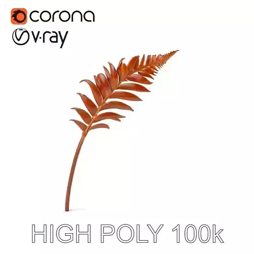 Realistic Palm Leaf Model Pack for D Rendering