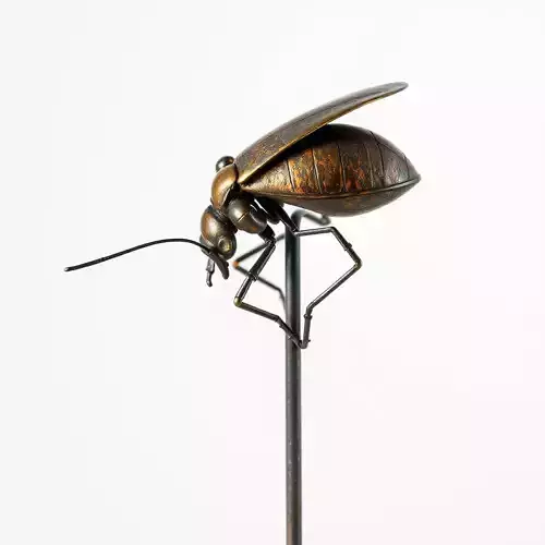 Beetle Sculpture Model Pack with Detailed Textures