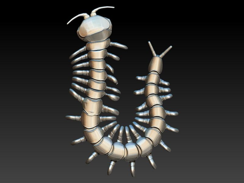 Centipede Pendant 3D print model_6