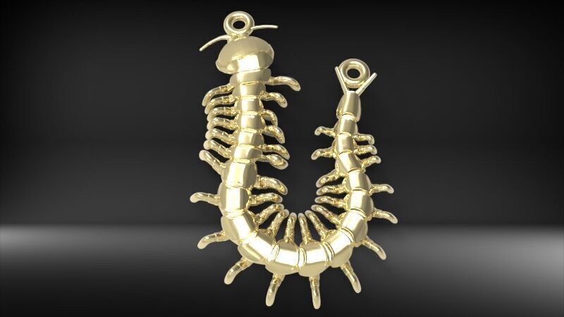 Centipede Pendant 3D print model_11