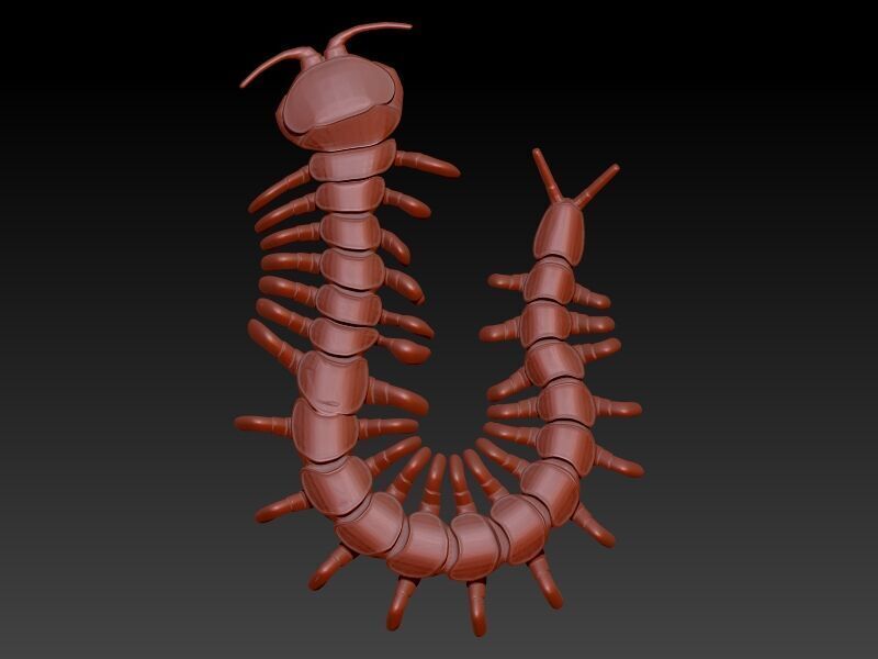Centipede Pendant 3D print model_2