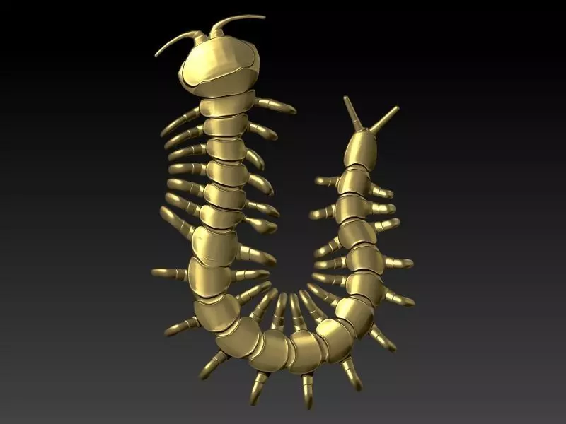 Centipede Pendant 3D print model_0