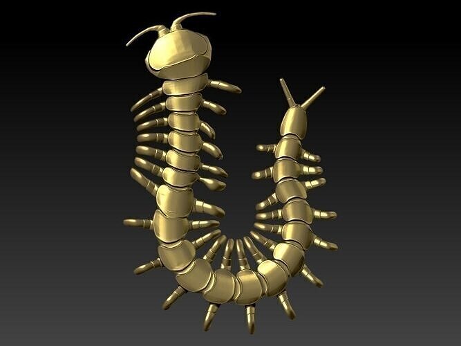 Centipede Pendant 3D print model
