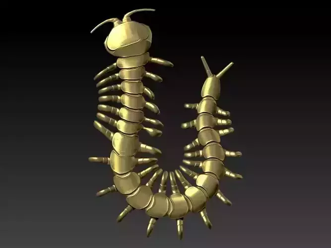 Centipede Pendant 3D print model