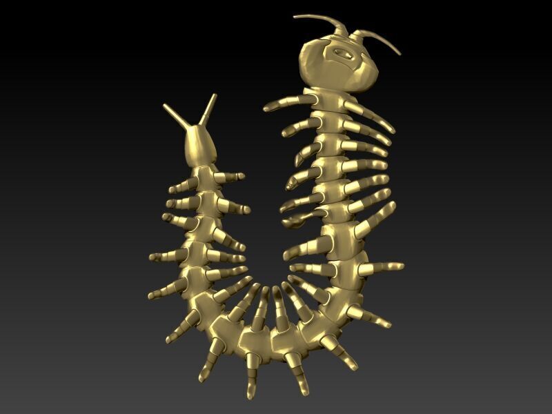 Centipede Pendant 3D print model_4