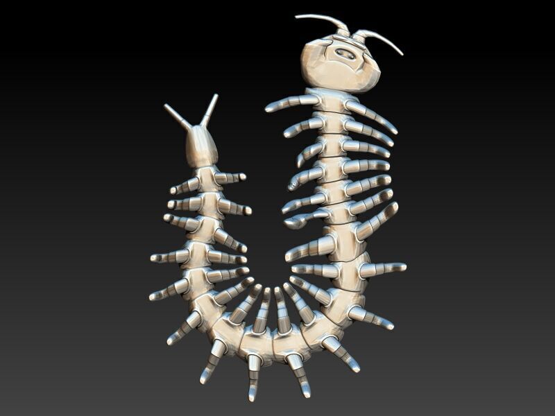 Centipede Pendant 3D print model_19