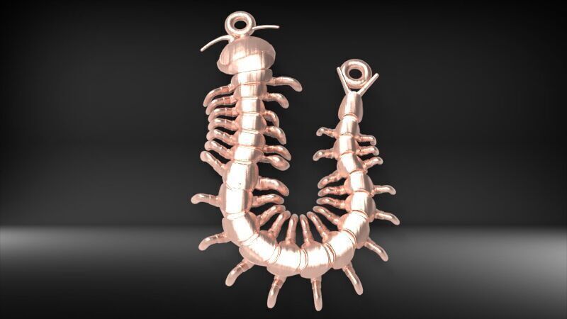 Centipede Pendant 3D print model_14