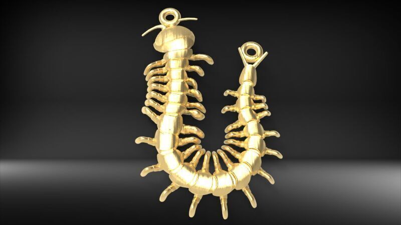 Centipede Pendant 3D print model_13
