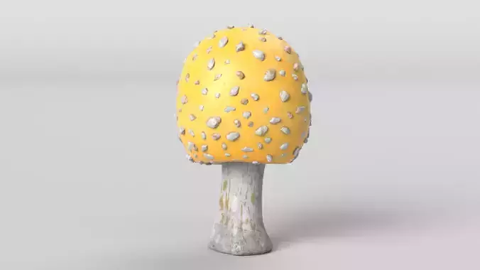 Yellow Amanita Mushroom
