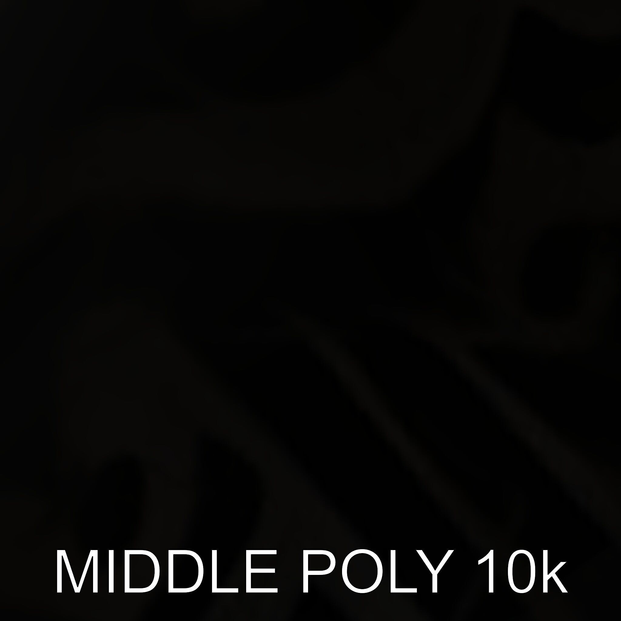 Vintage Metal Canteen Model Pack Low-poly 3D model_6