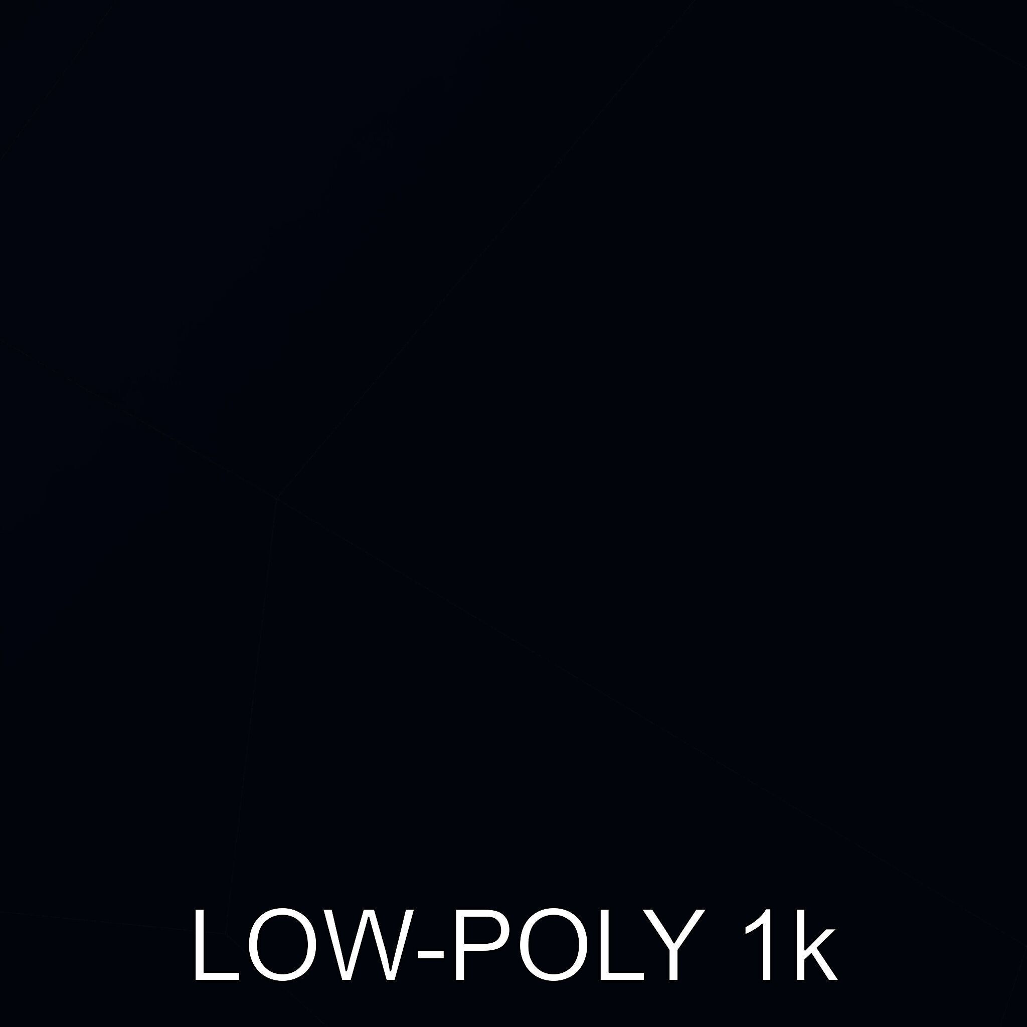 Vintage Metal Canteen Model Pack Low-poly 3D model_25