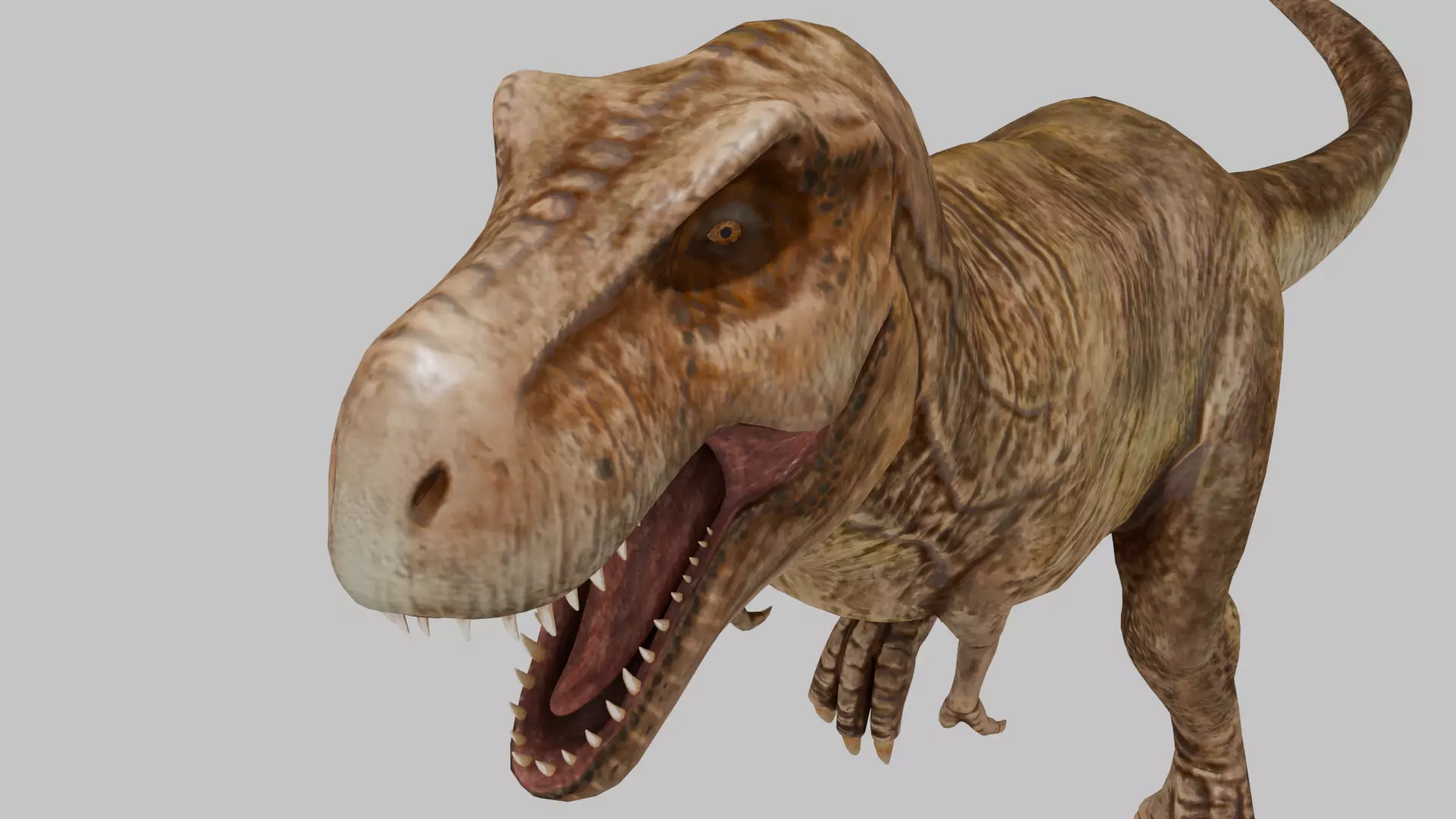 Tyrannosaurus Rex 3D model 3D model_0