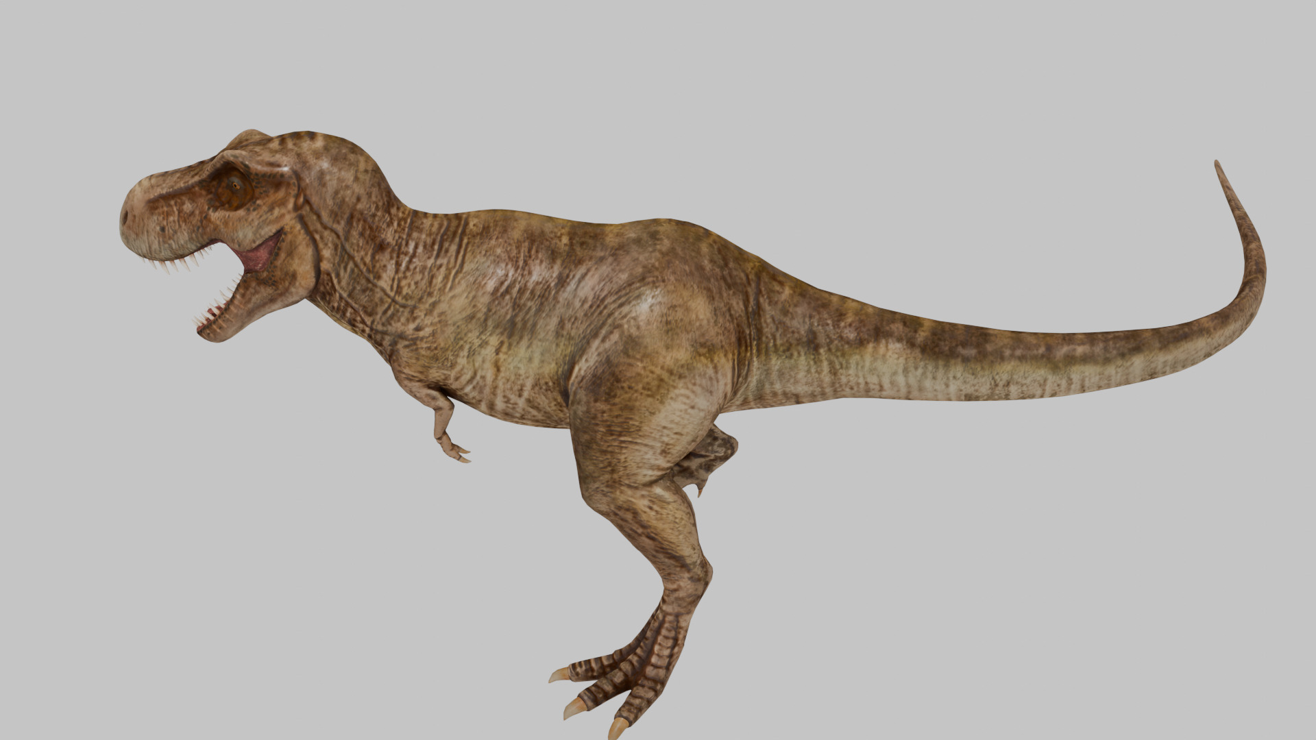 Tyrannosaurus Rex 3D model 3D model_9