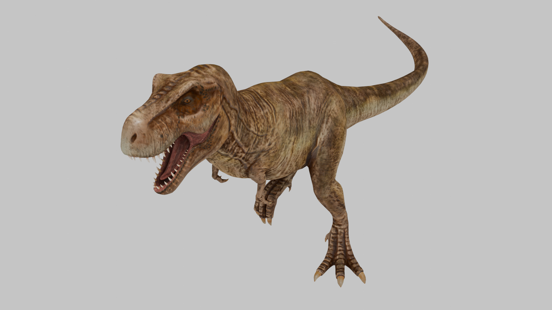 Tyrannosaurus Rex 3D model 3D model_2