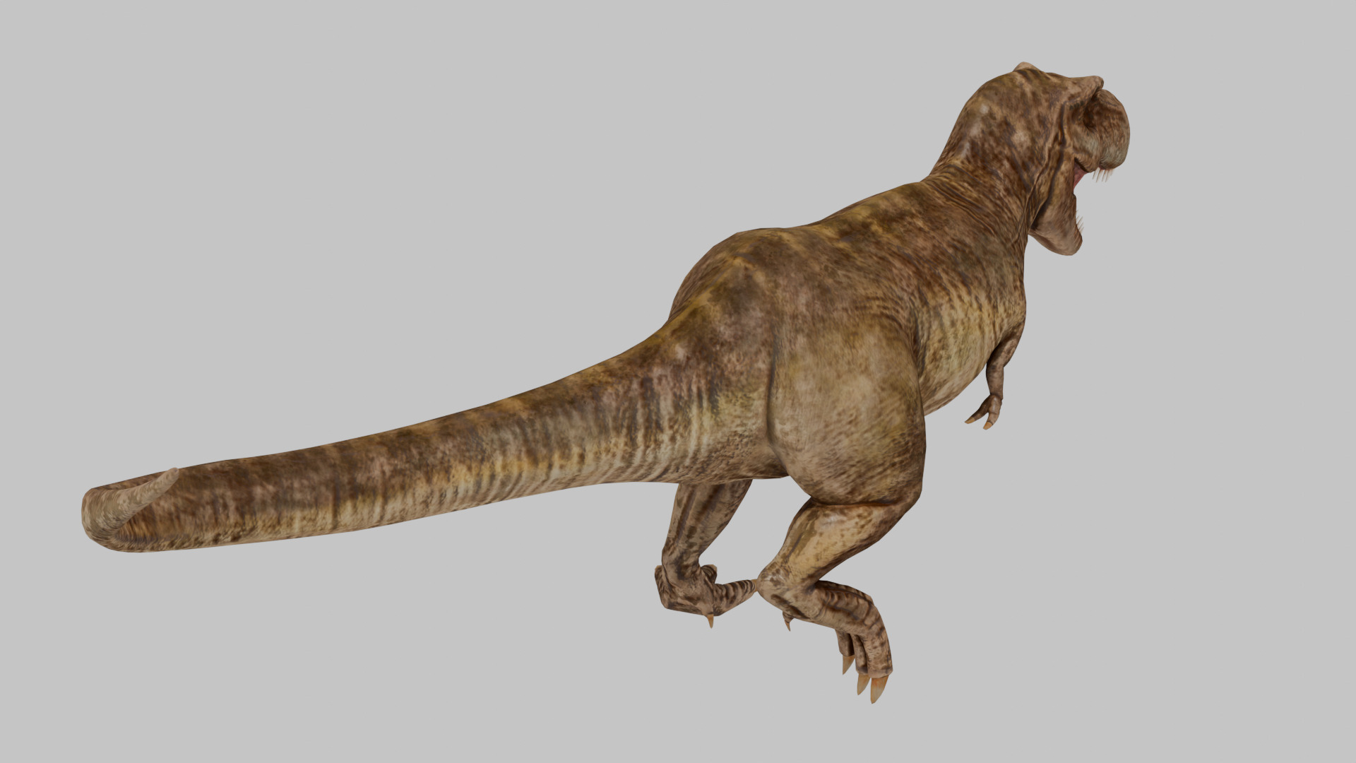 Tyrannosaurus Rex 3D model 3D model_6