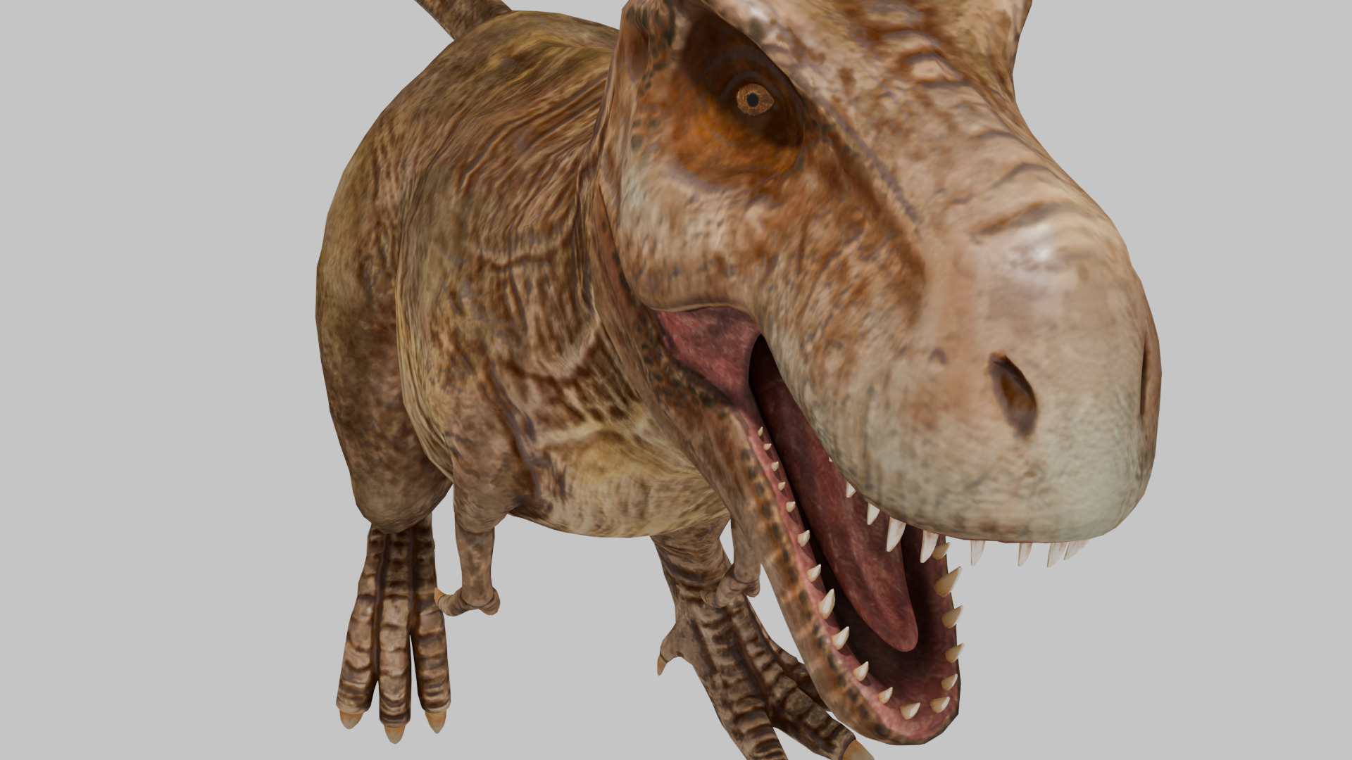 Tyrannosaurus Rex 3D model 3D model_1