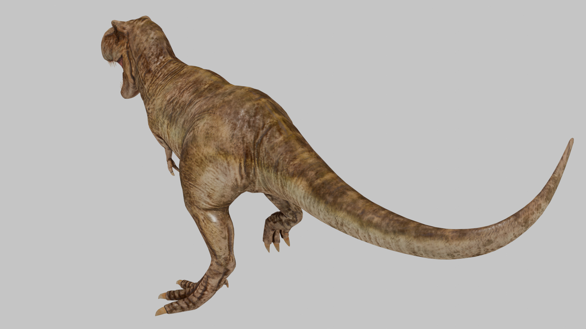 Tyrannosaurus Rex 3D model 3D model_7