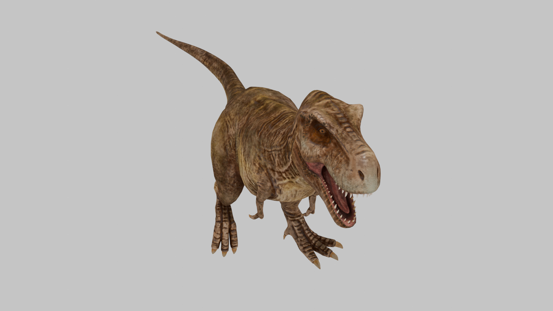 Tyrannosaurus Rex 3D model 3D model_5