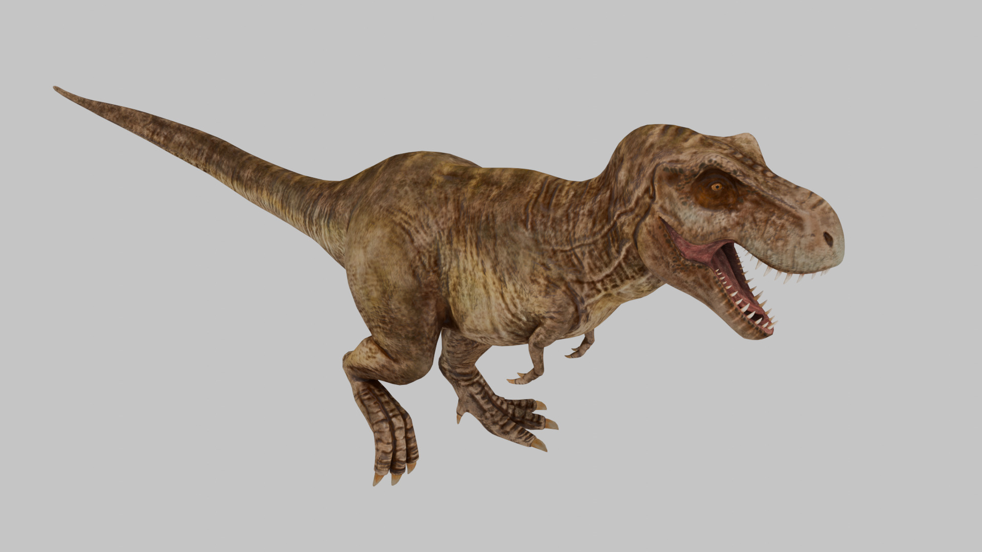 Tyrannosaurus Rex 3D model 3D model_4