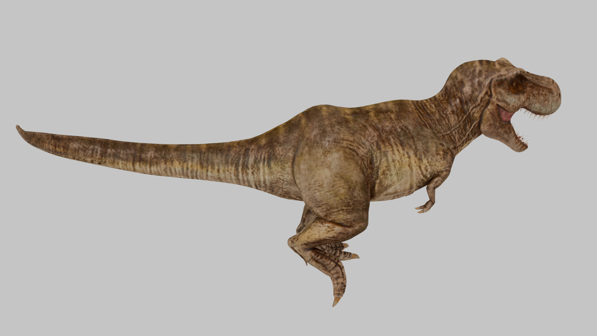 Tyrannosaurus Rex 3D model 3D model_3