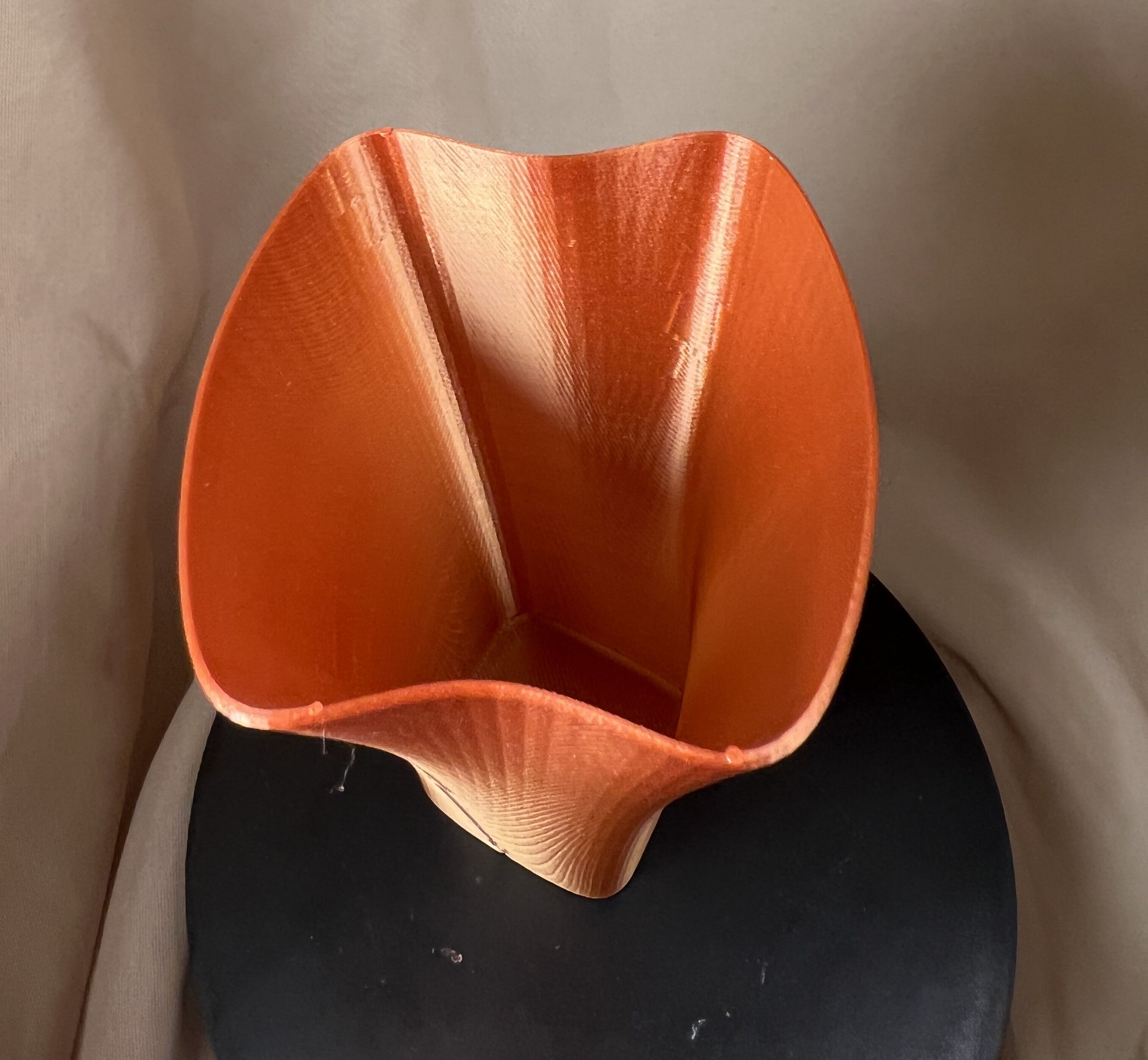 Wavy Rim Serenity Vase 3D print model_4