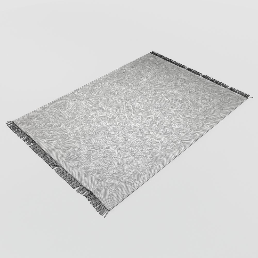 Carpet HOUSE DOCTOR 3D model_9