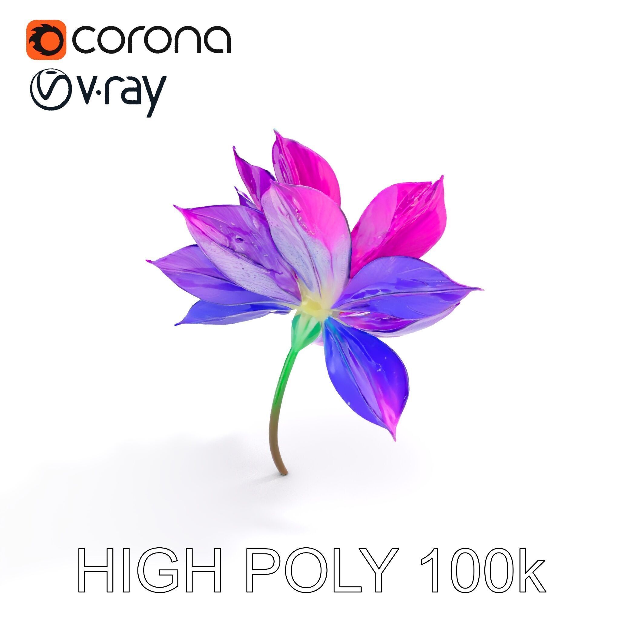 Vibrant Lotus Flower D Model Pack Low-poly 3D model_8