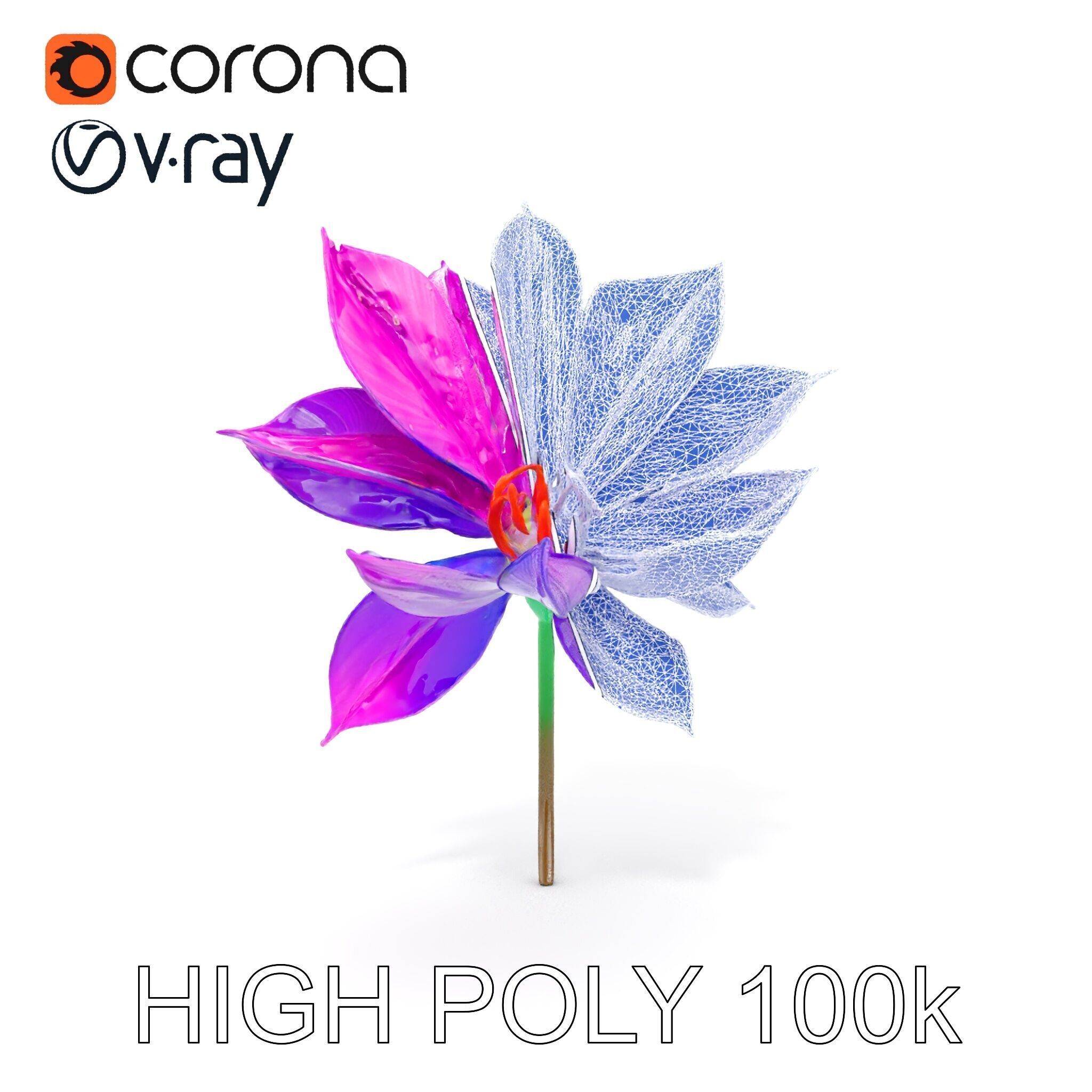 Vibrant Lotus Flower D Model Pack Low-poly 3D model_35