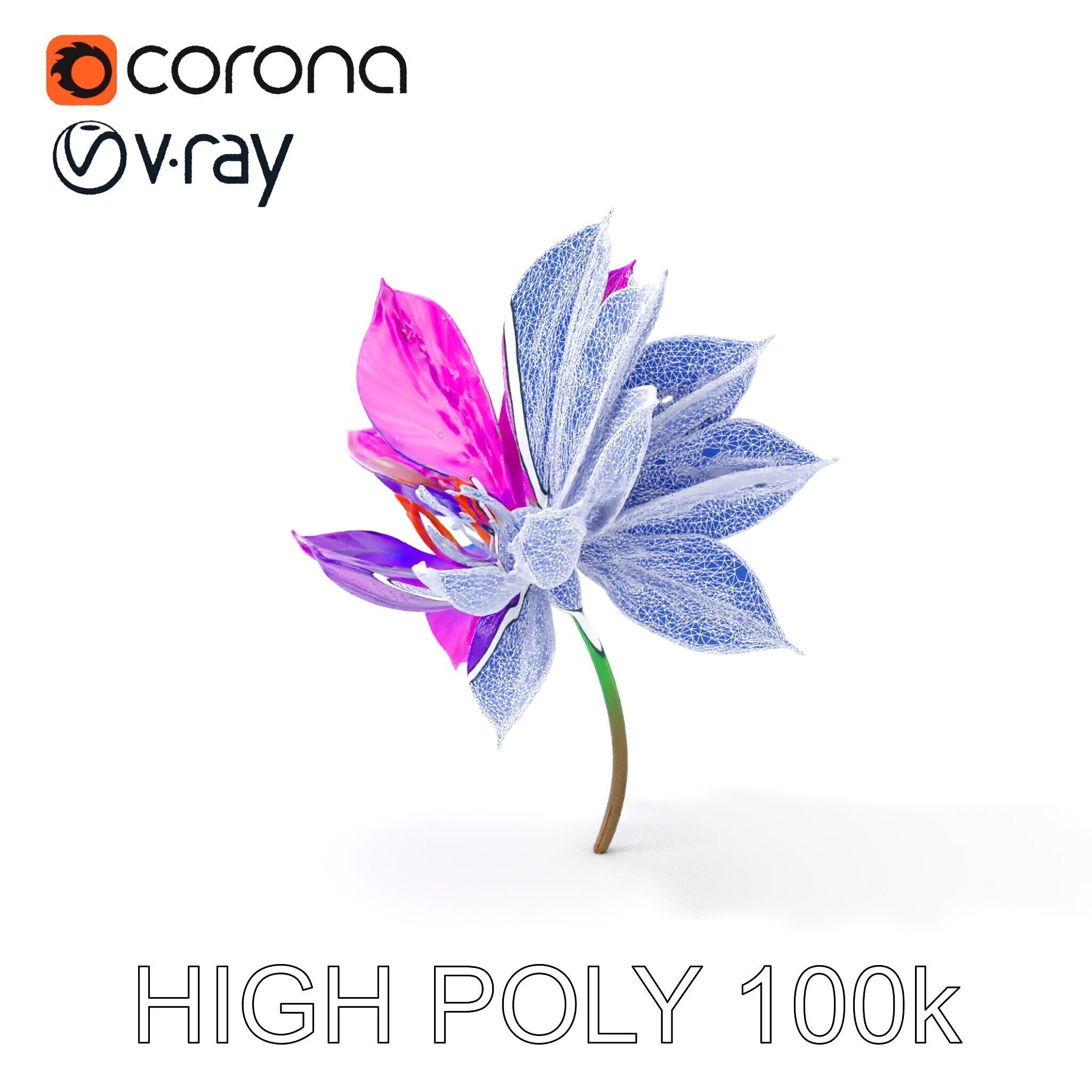 Vibrant Lotus Flower D Model Pack Low-poly 3D model_4