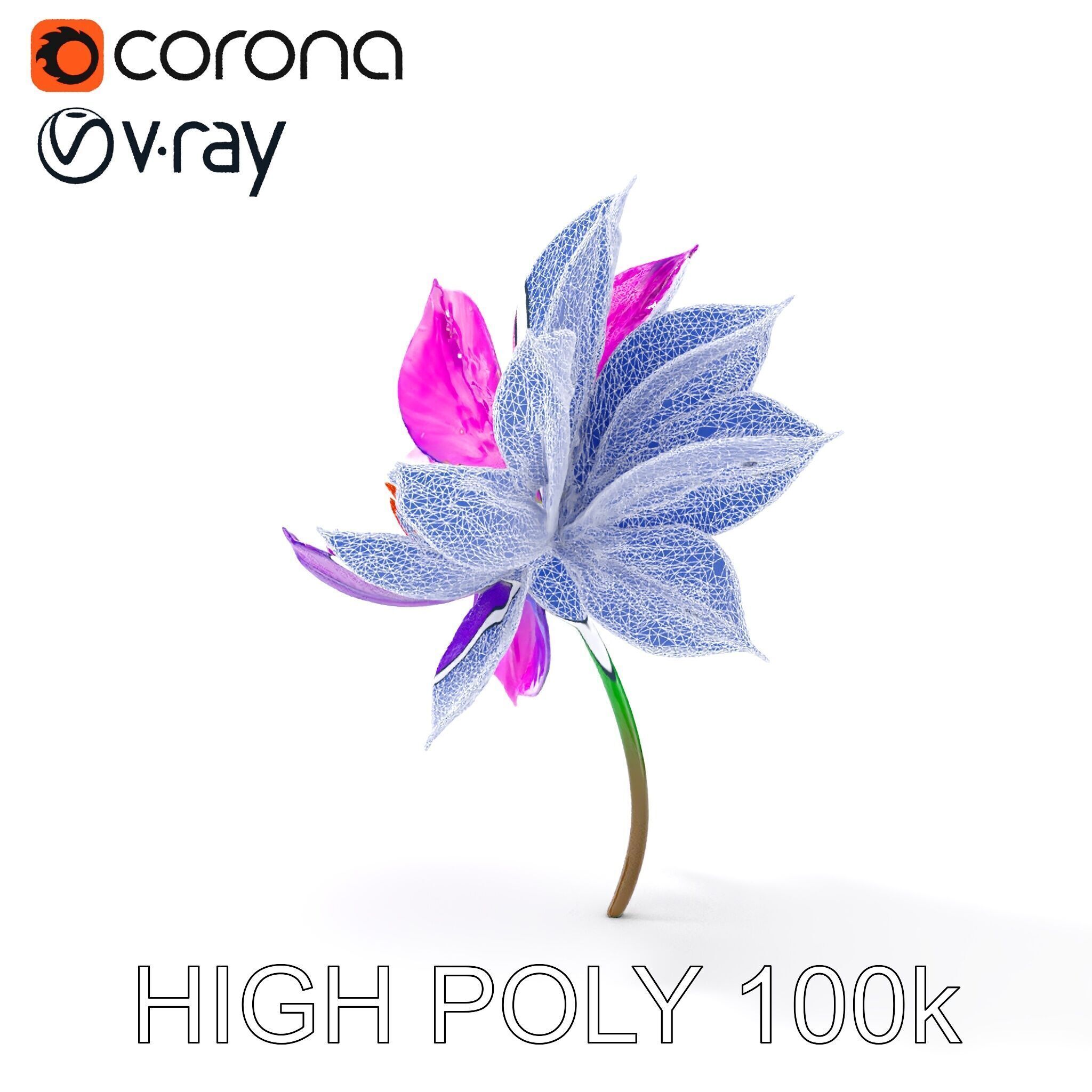 Vibrant Lotus Flower D Model Pack Low-poly 3D model_28