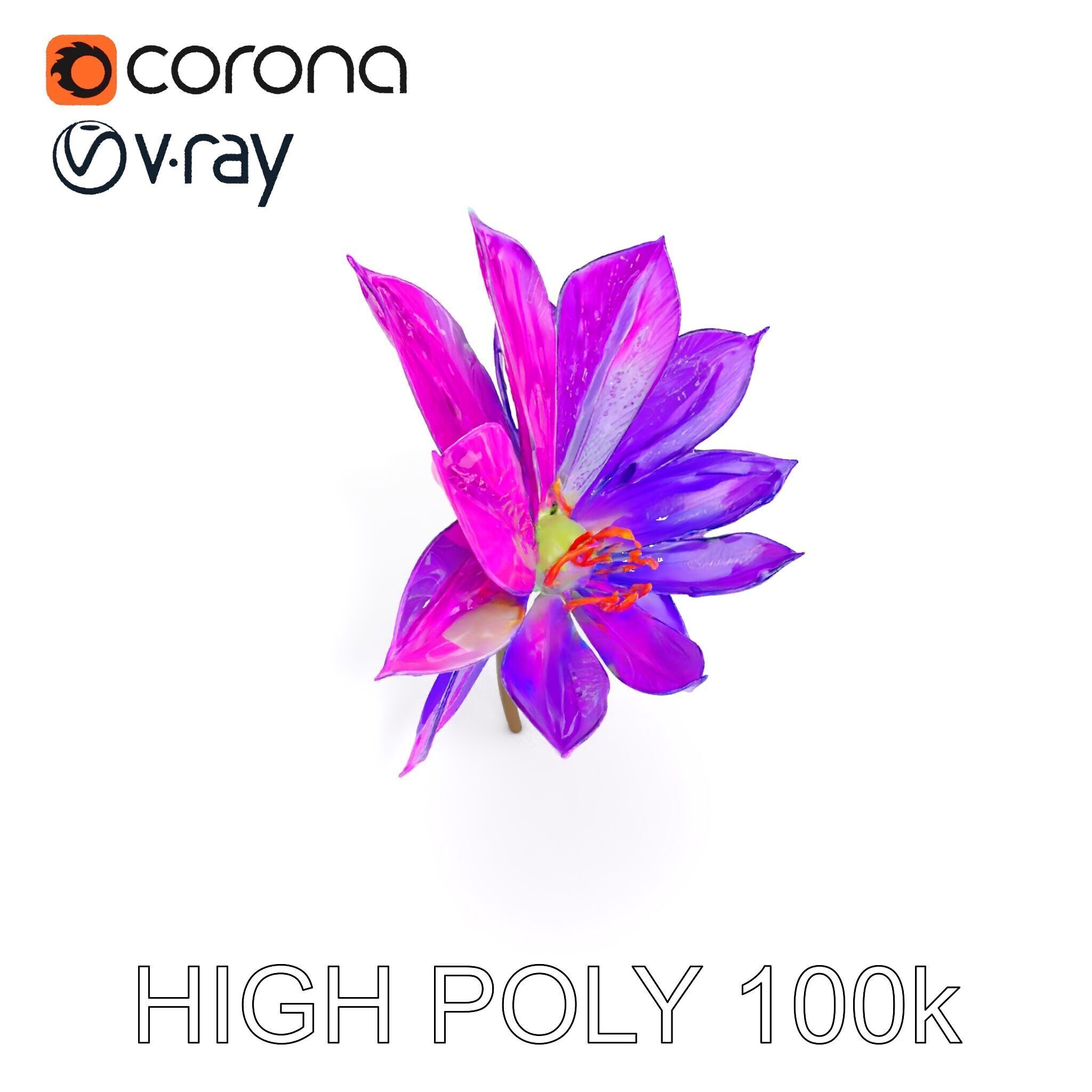 Vibrant Lotus Flower D Model Pack Low-poly 3D model_12
