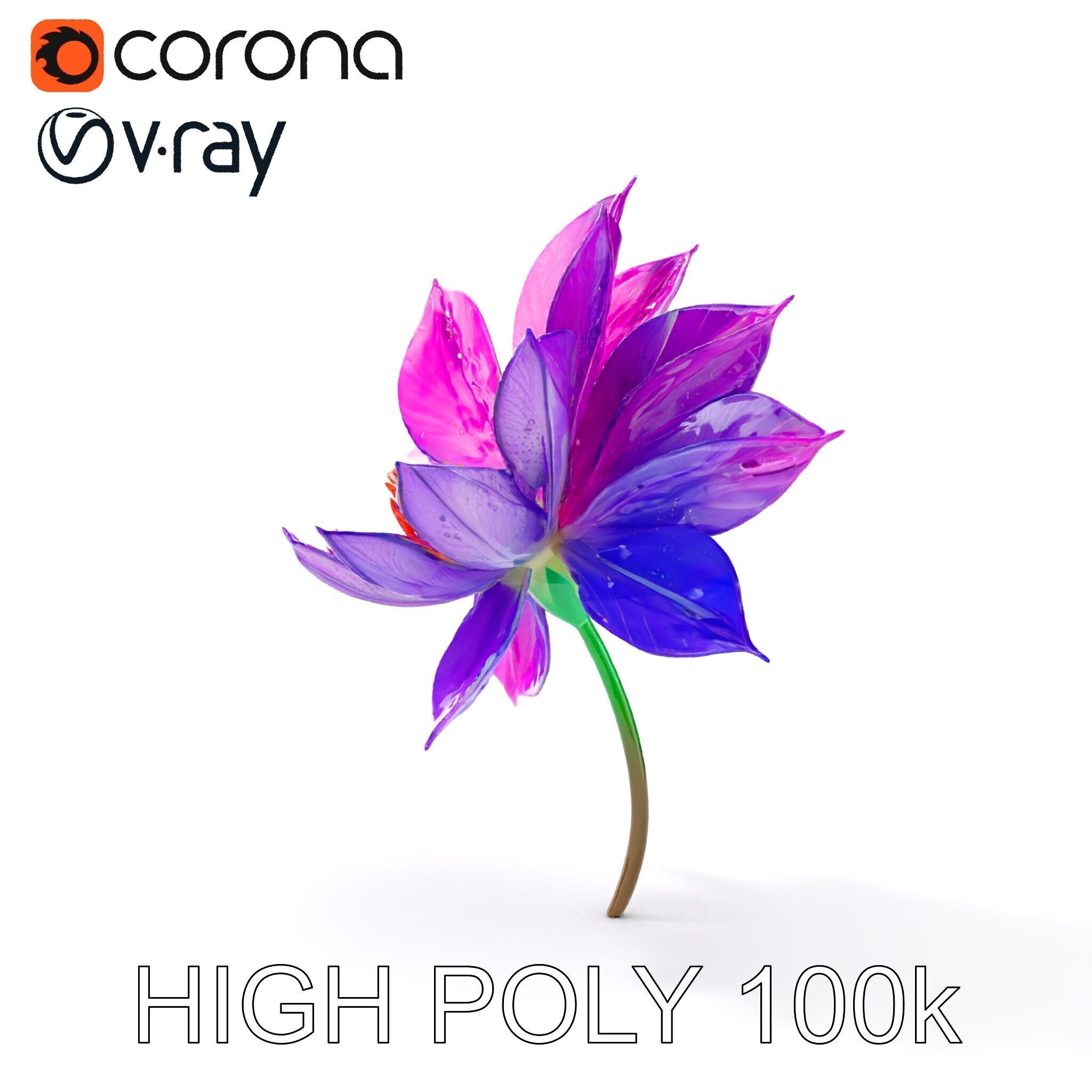 Vibrant Lotus Flower D Model Pack Low-poly 3D model_22