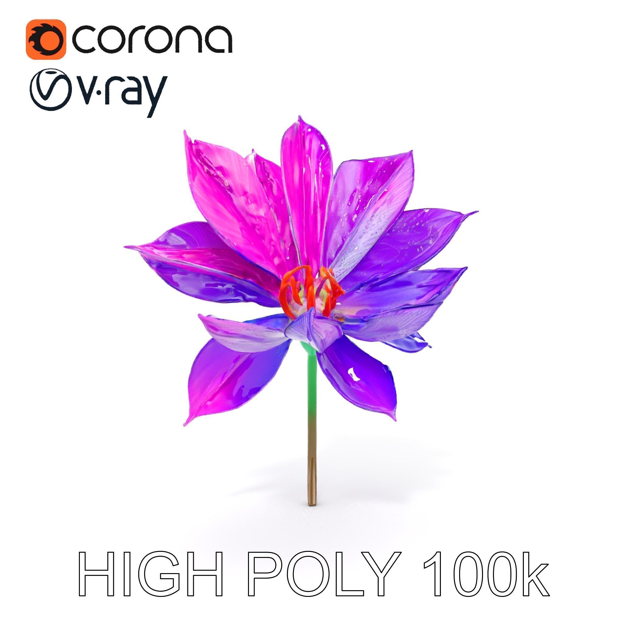 Vibrant Lotus Flower D Model Pack Low-poly 3D model_32