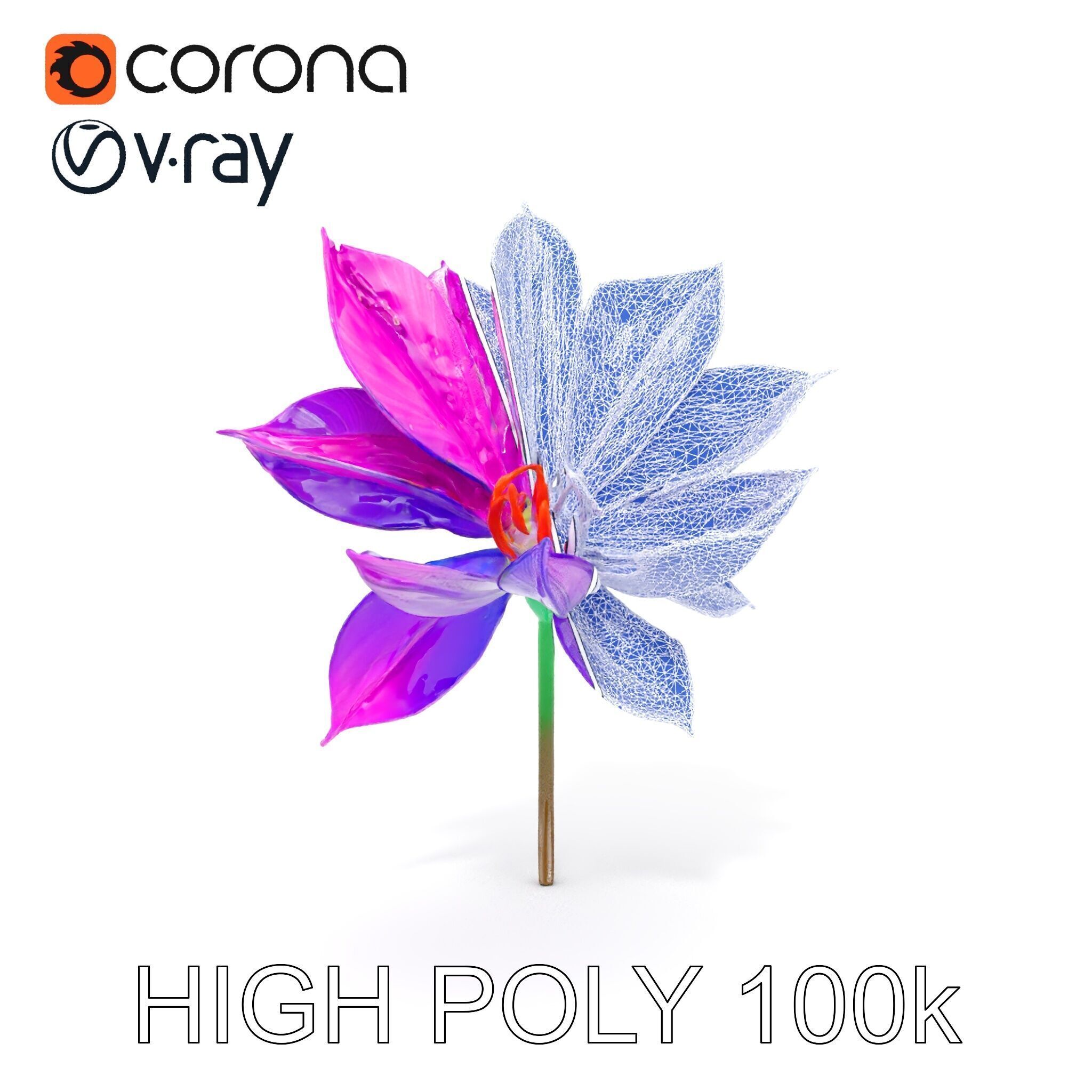 Vibrant Lotus Flower D Model Pack Low-poly 3D model_30