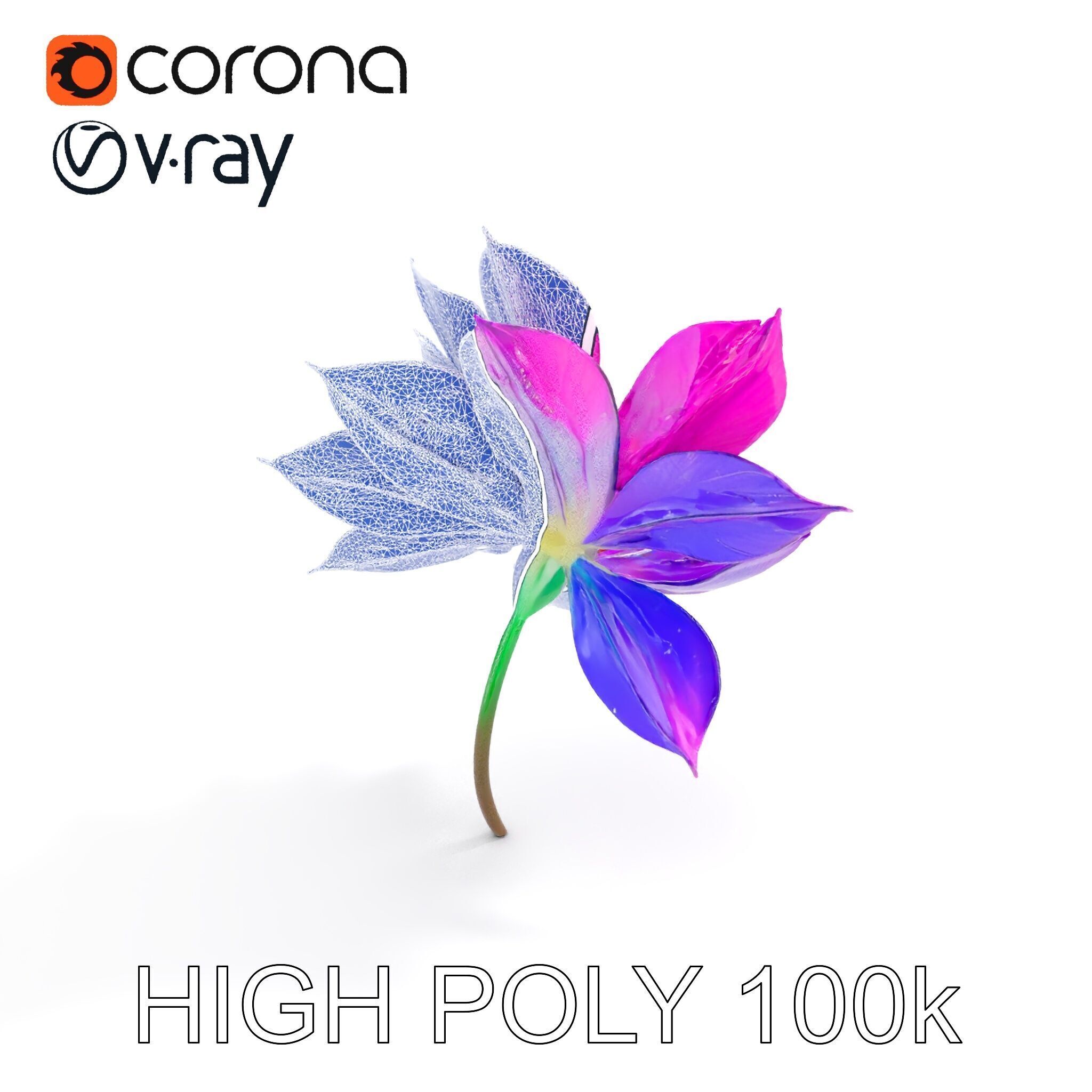 Vibrant Lotus Flower D Model Pack Low-poly 3D model_31