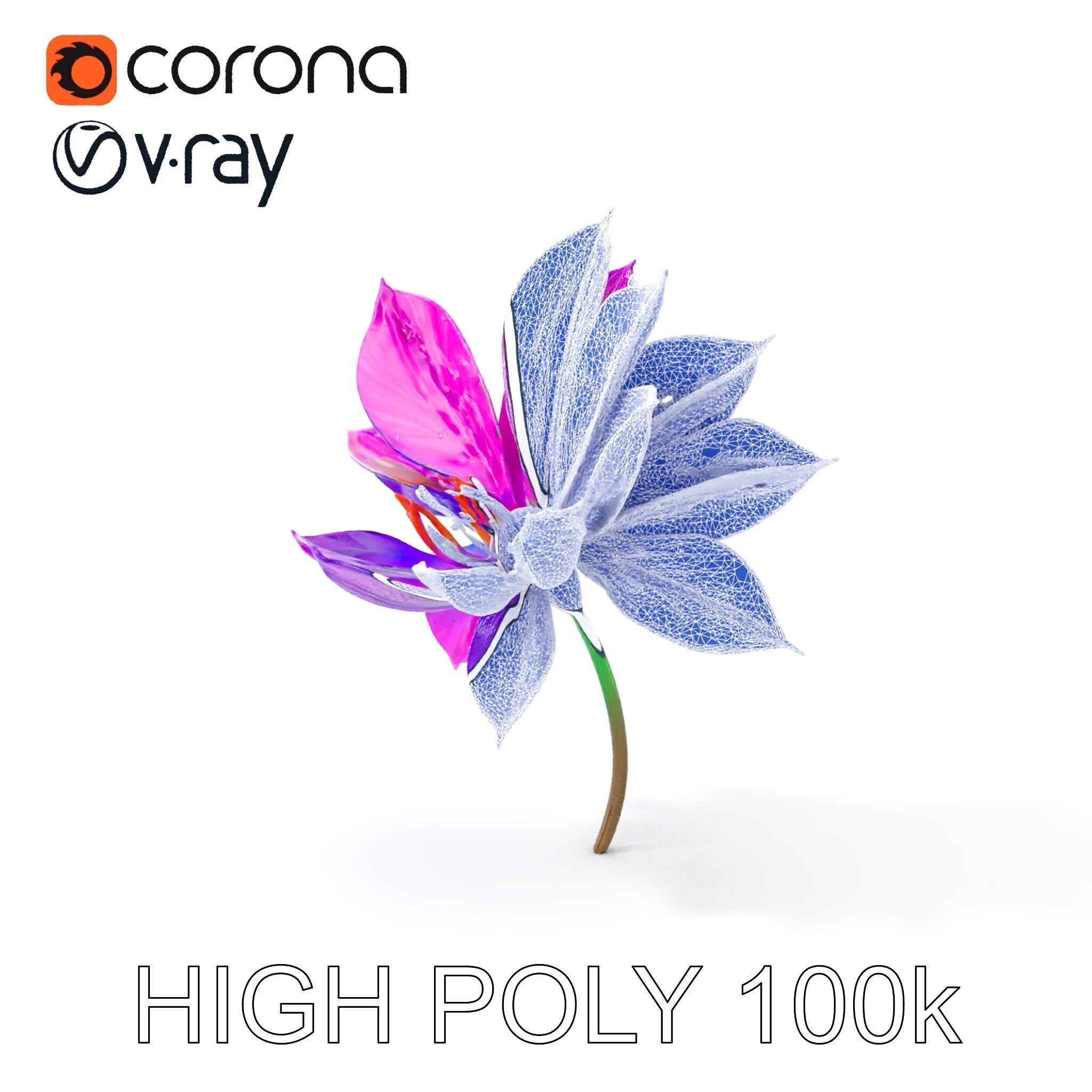 Vibrant Lotus Flower D Model Pack Low-poly 3D model_6