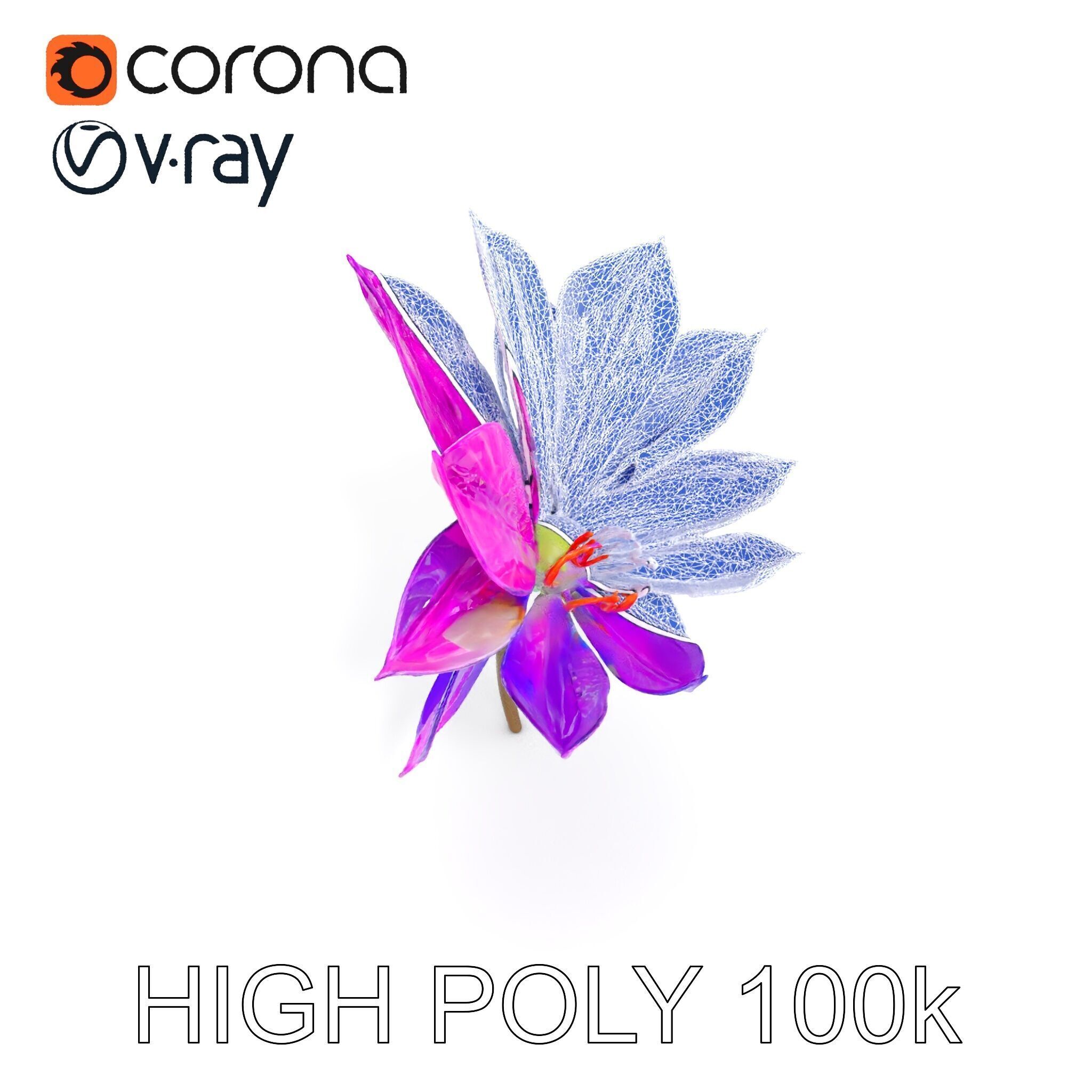 Vibrant Lotus Flower D Model Pack Low-poly 3D model_10