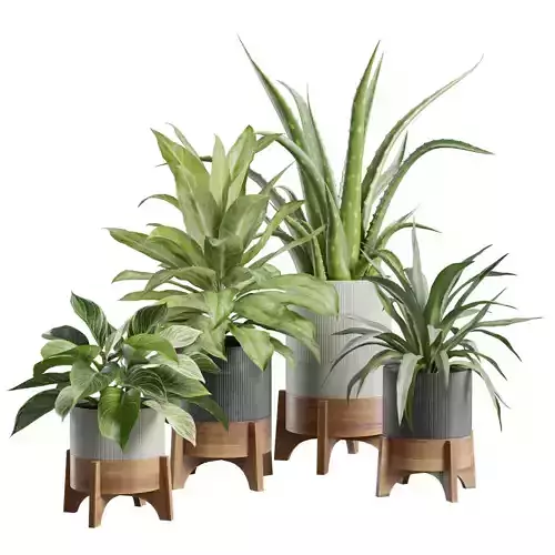 Indoor Plants Pack 94
