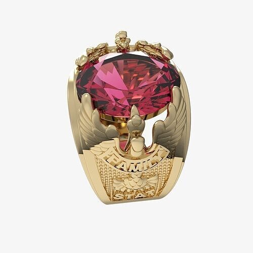 Men Ring 245 3D print model