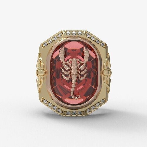 Men Ring 246 3D print model