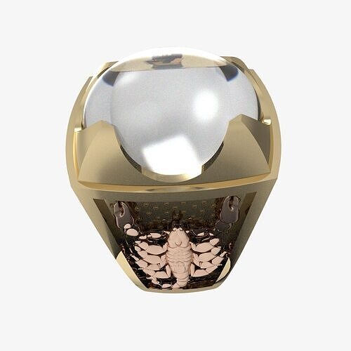 Men Ring 262 3D print model