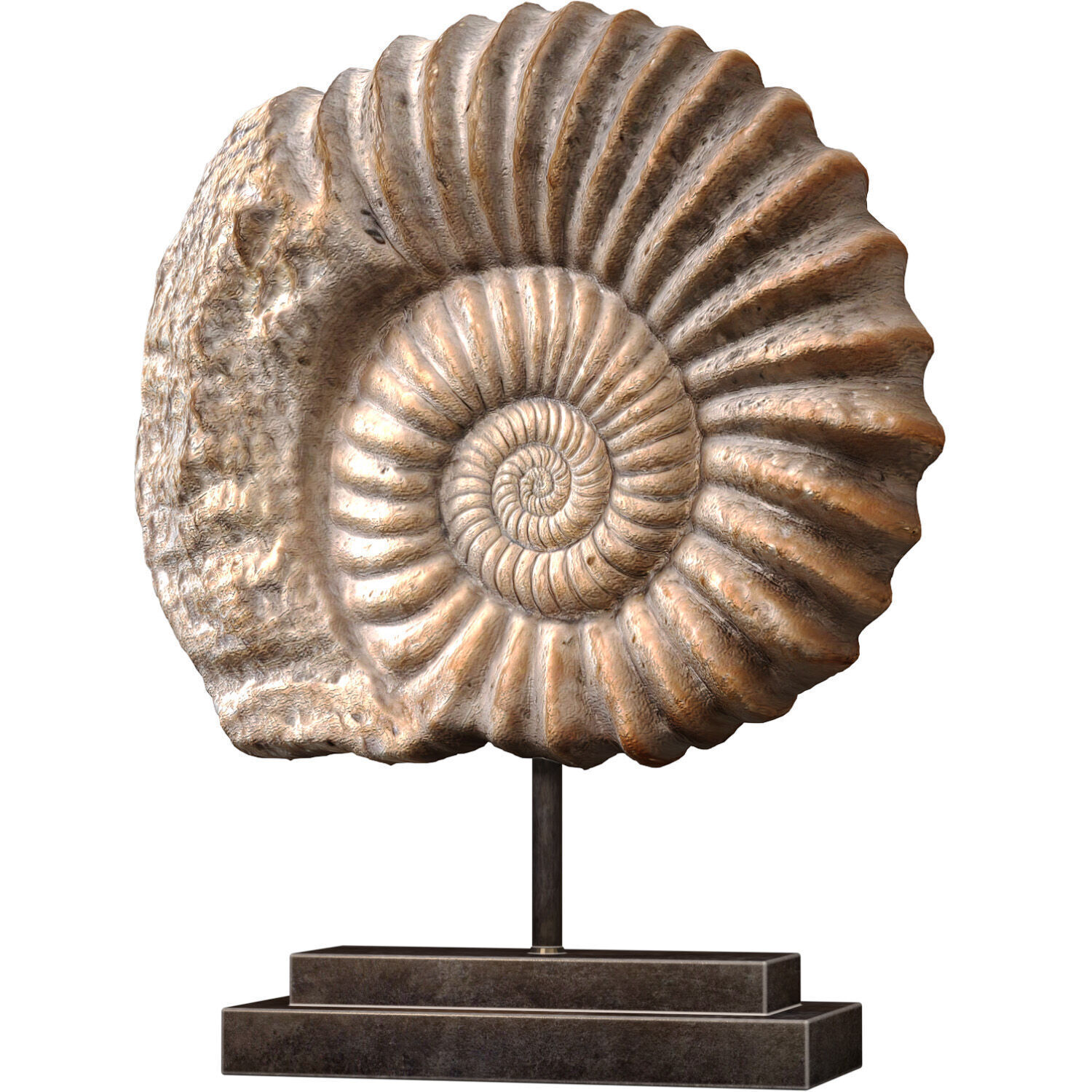 Nautilus Shell Sculpture Ammonite Mounted Nautilus Statuette 3D model_4