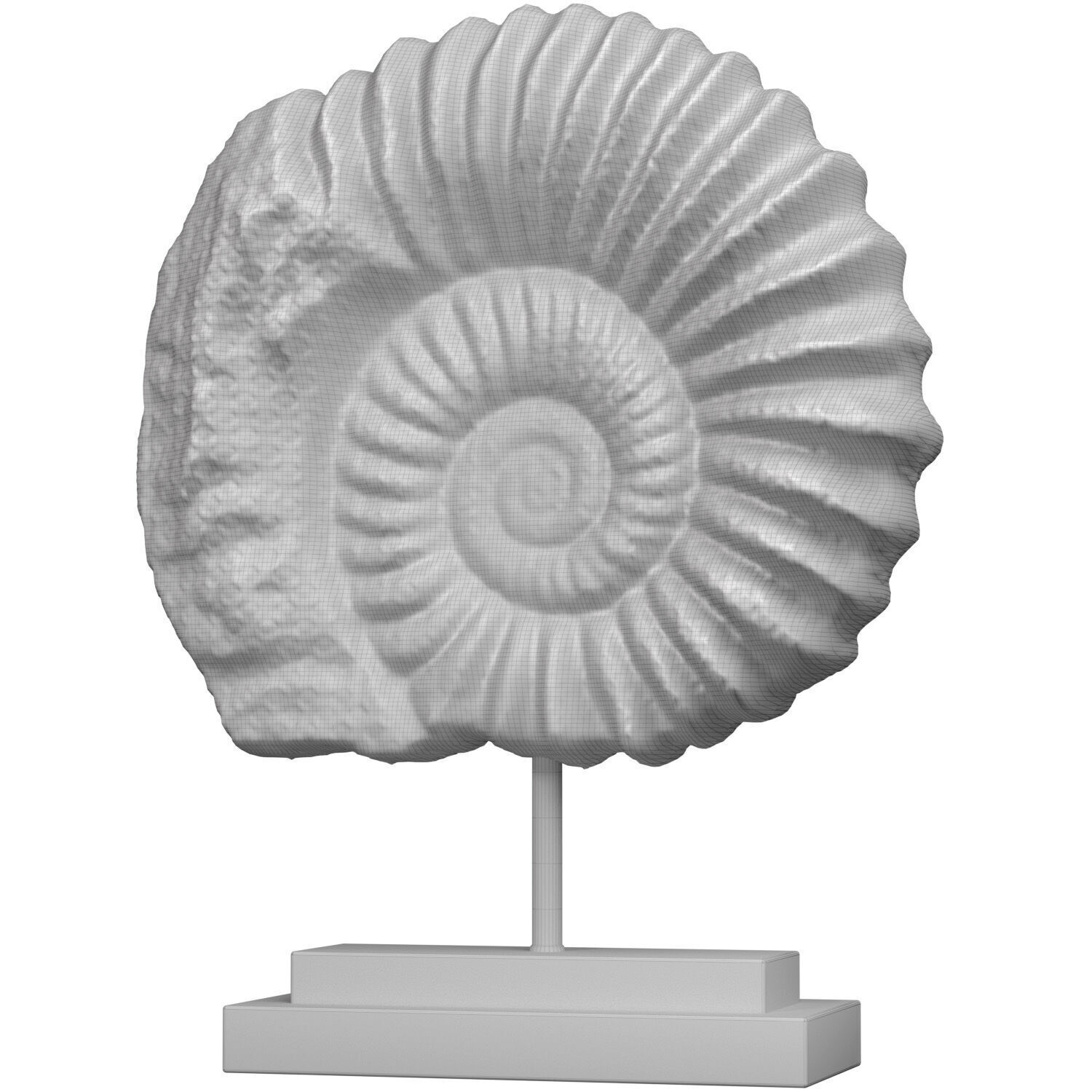 Nautilus Shell Sculpture Ammonite Mounted Nautilus Statuette 3D model_1
