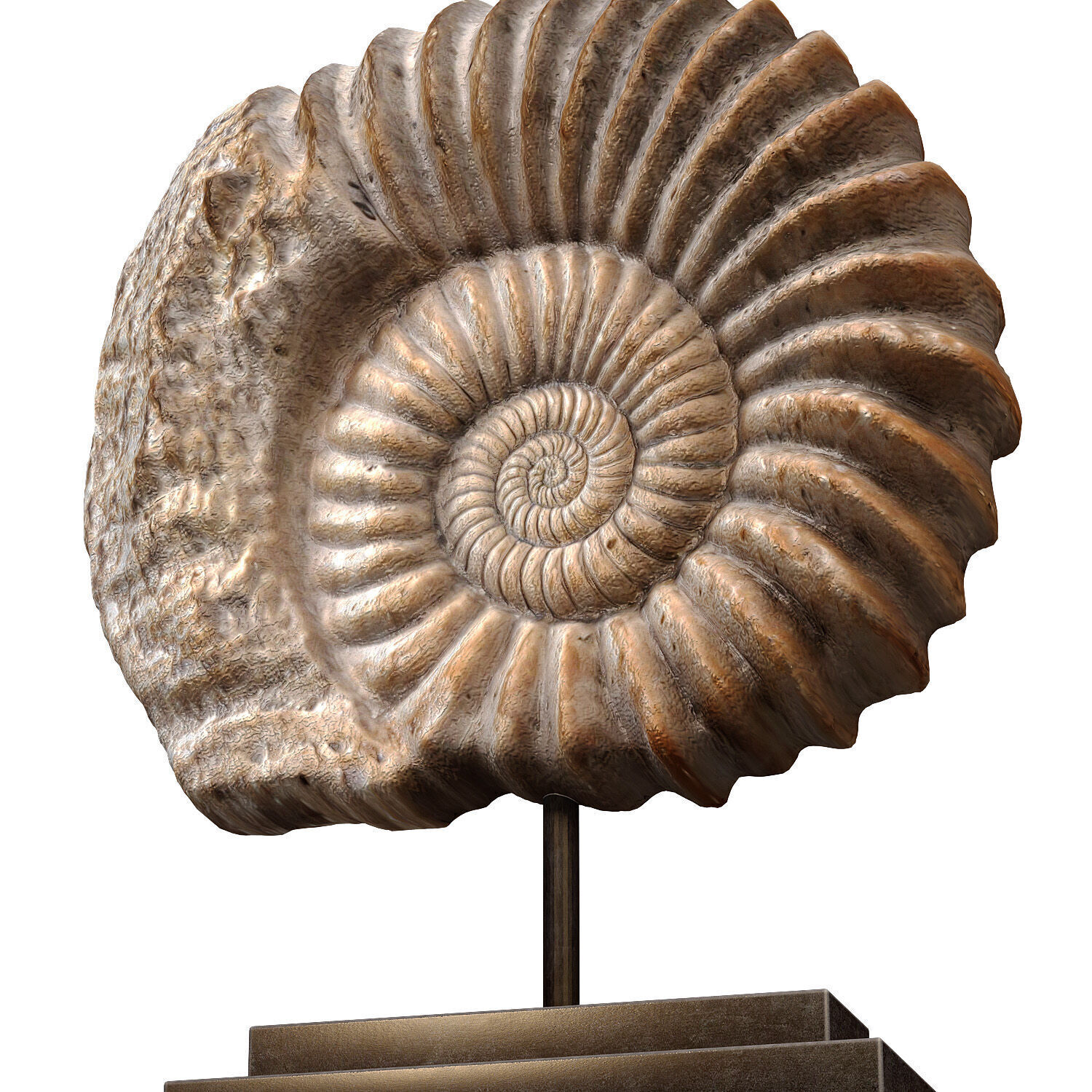 Nautilus Shell Sculpture Ammonite Mounted Nautilus Statuette 3D model_3