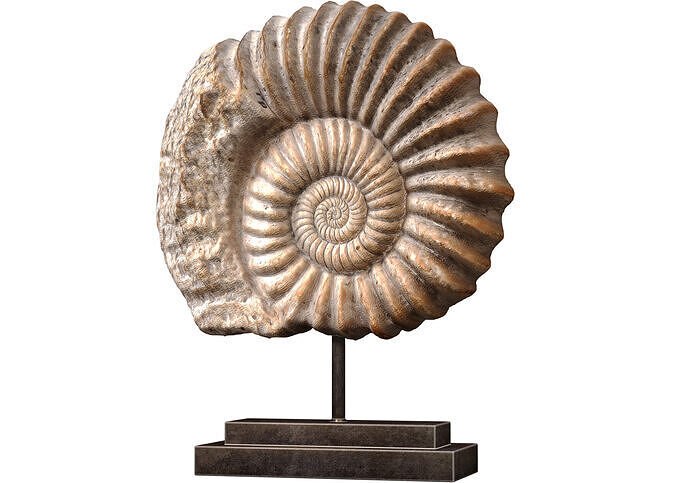 Nautilus Shell Sculpture Ammonite Mounted Nautilus Statuette 3D model