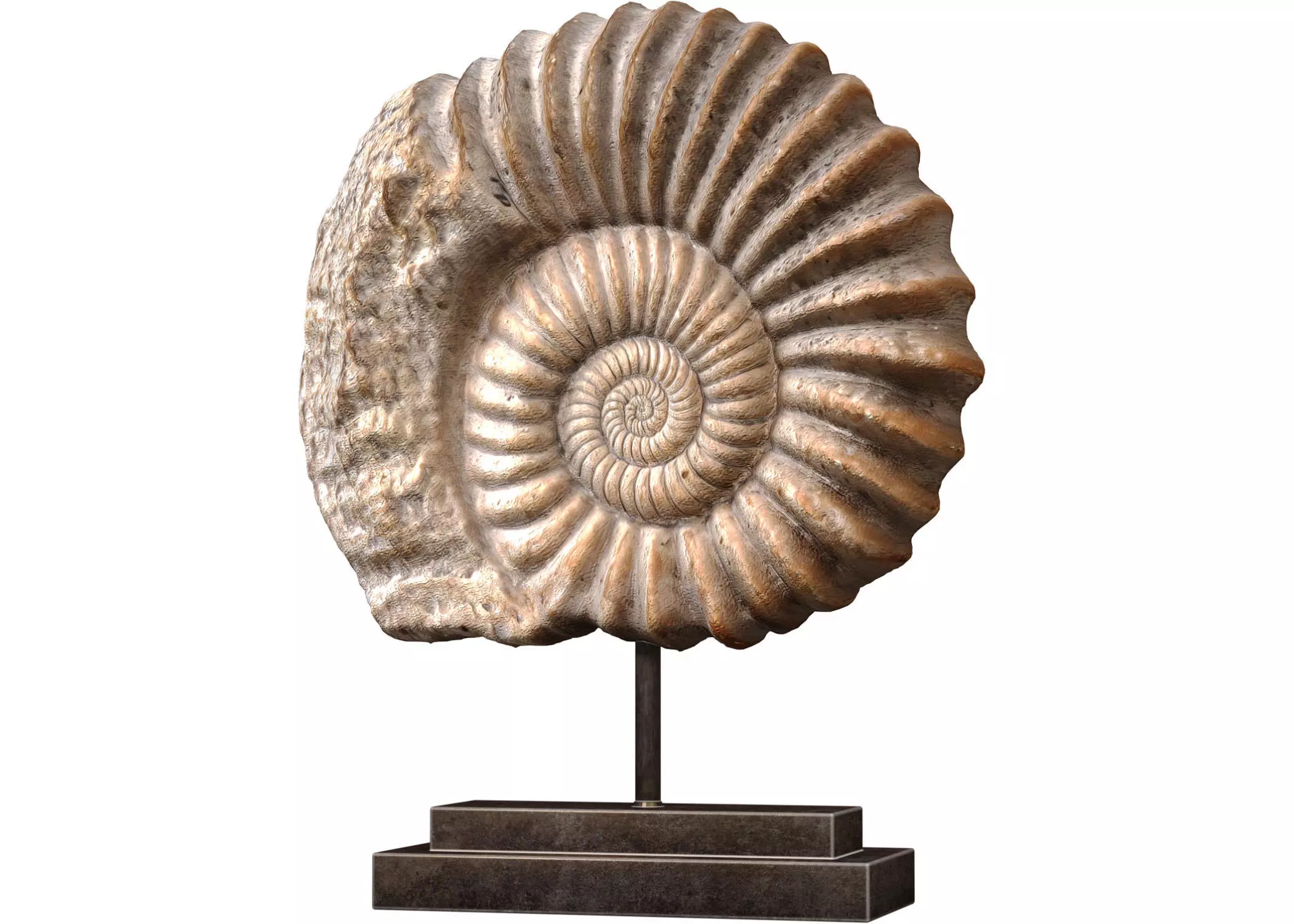 Nautilus Shell Sculpture Ammonite Mounted Nautilus Statuette 3D model_0