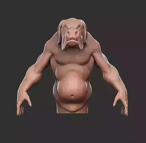 Bull dog with big muscles